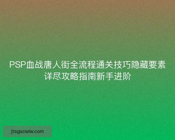 PSP血战唐人街全流程通关技巧隐藏要素详尽攻略指南新手进阶