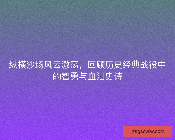 纵横沙场风云激荡，回顾历史经典战役中的智勇与血泪史诗