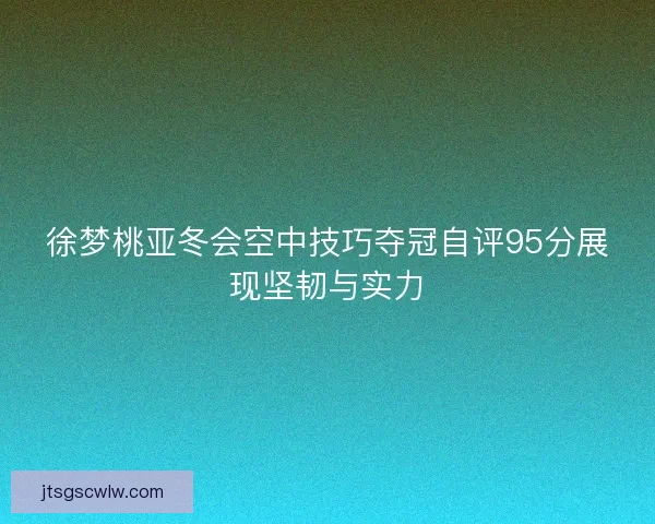徐梦桃亚冬会空中技巧夺冠自评95分展现坚韧与实力
